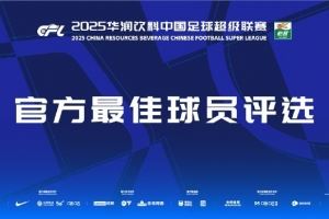 中超第29轮最佳候选:王燊超、钟义浩、法比奥、泽卡、兰克尔泽